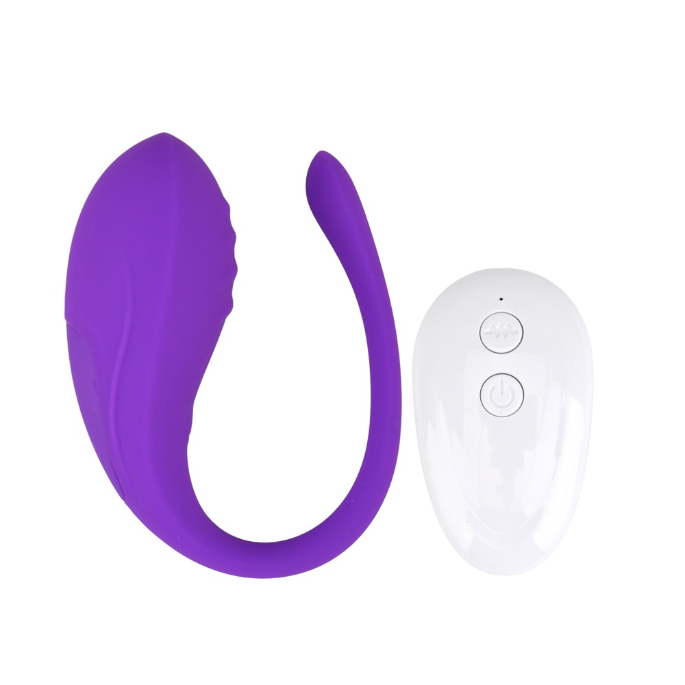 n12022-loving-joy-remote-love-egg-vibrator-2